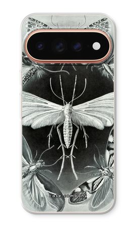 Haeckel Tineida