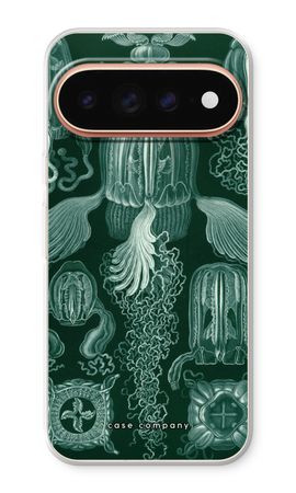 Haeckel Cubomedusae