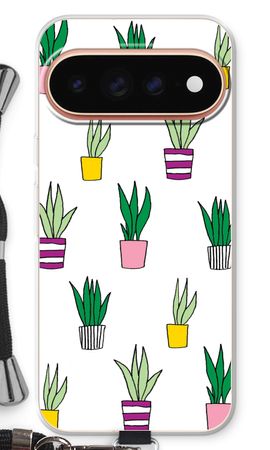 Sanseveria
