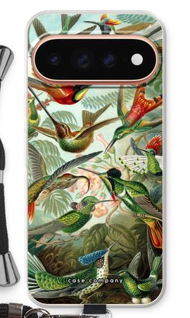 Haeckel Trochilidae