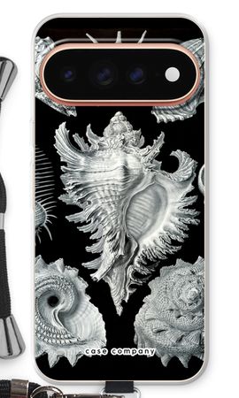 Haeckel Prosobranchia