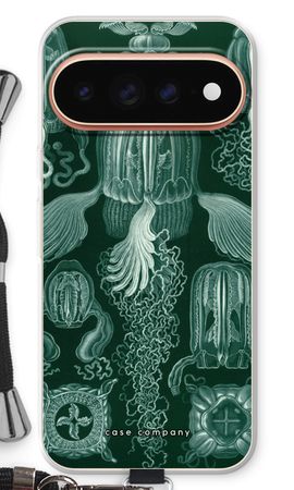 Haeckel Cubomedusae