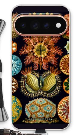 Haeckel Ascidiae