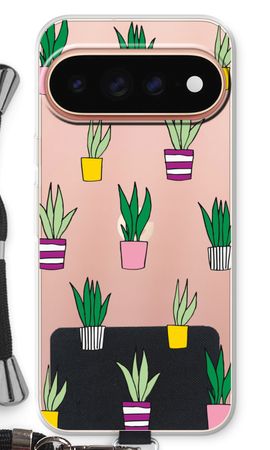 Sanseveria