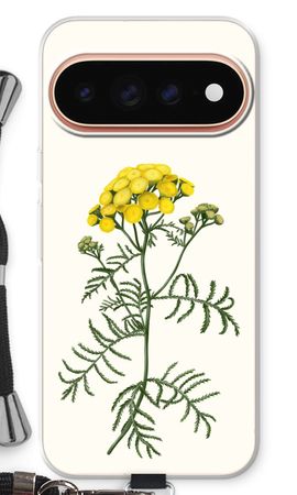 Tansy