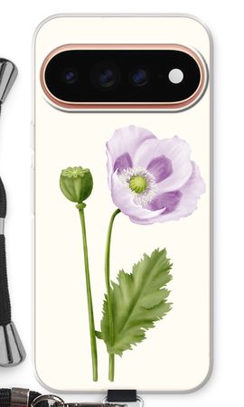 Purple poppy