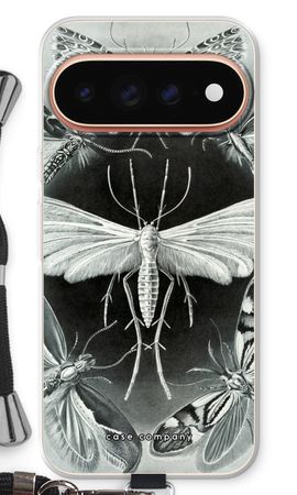 Haeckel Tineida
