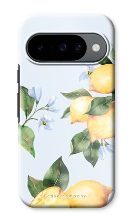 Orchard Sun
