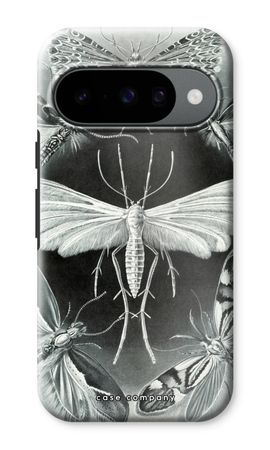 Haeckel Tineida