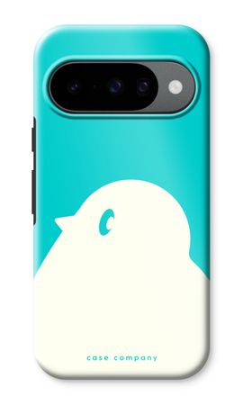 BIG Robin 2