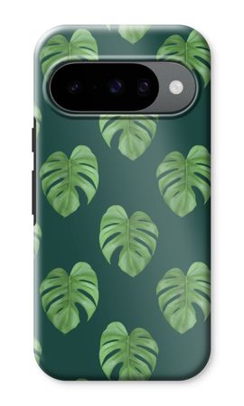 Monstera leaves