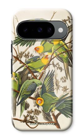Carolina Parrot