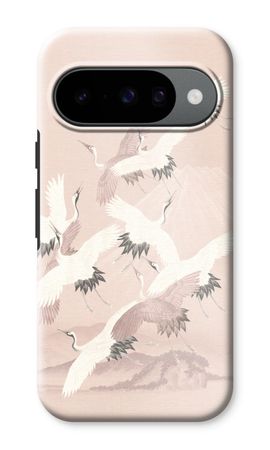 Japanese Crane Birds