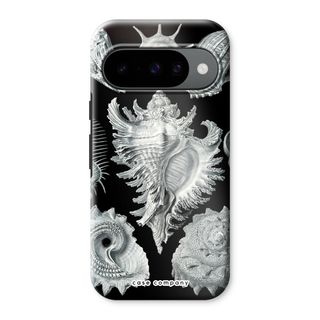 Haeckel Prosobranchia