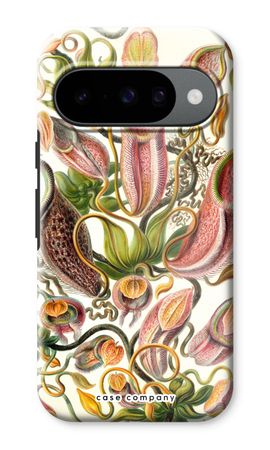 Haeckel Nepenthaceae