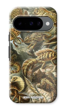 Haeckel Lacertilia