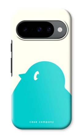 BIG Robin 1