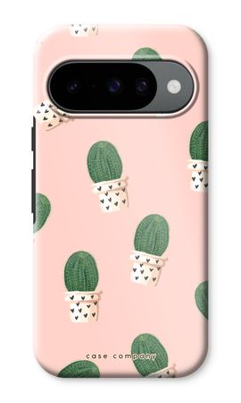 Kaktus rosa