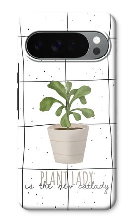 Houseplant on windowpane