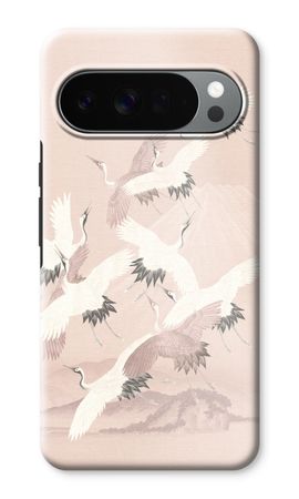 Japanese Crane Birds