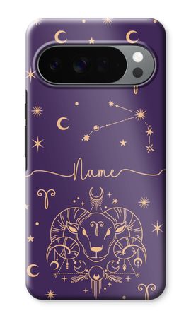 Zodiac Sign N°2