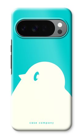 BIG Robin 2