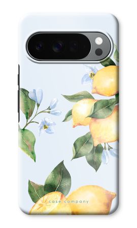 Orchard Sun