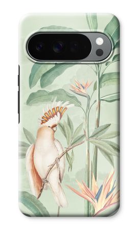 Tropical Parrot
