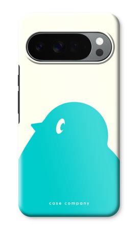 BIG Robin 1