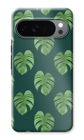 Monstera leaves