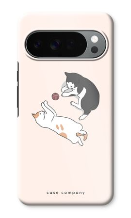 Playing cats