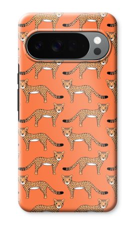 Cheetah