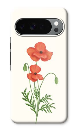 Red poppy