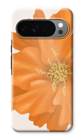 Orange Ellila flower