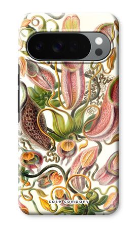Haeckel Nepenthaceae