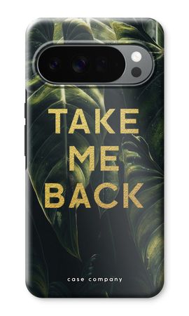 Take Me Back