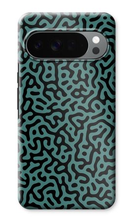 Turing pattern