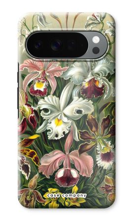 Haeckel Orchidae