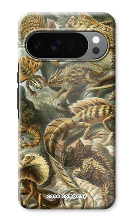 Haeckel Lacertilia