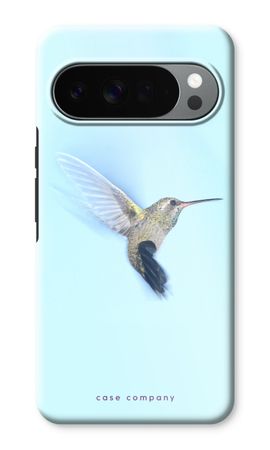 Kolibri