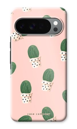 Cactus in Rosa