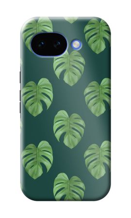 Monstera leaves