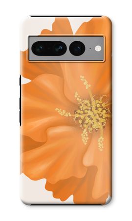 Orange Ellila flower