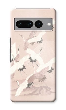 Japanese Crane Birds