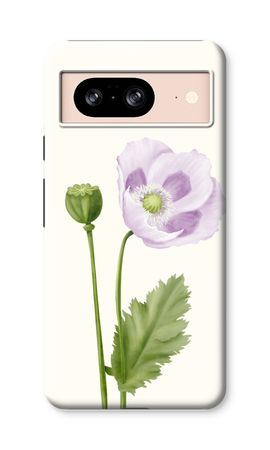 Purple poppy