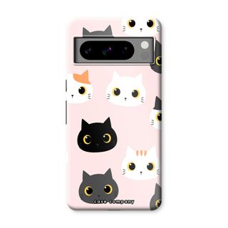 Gatos