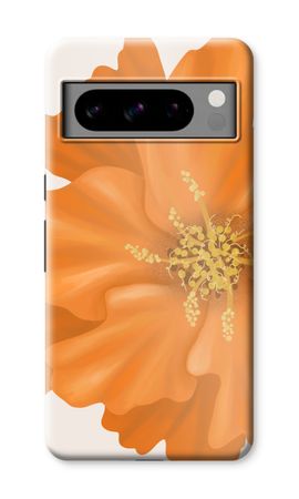 Orange Ellila flower