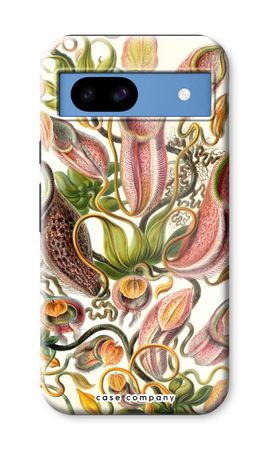 Haeckel Nepenthaceae