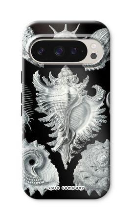 Haeckel Prosobranchia