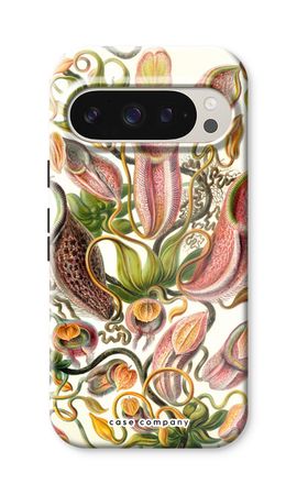 Haeckel Nepenthaceae